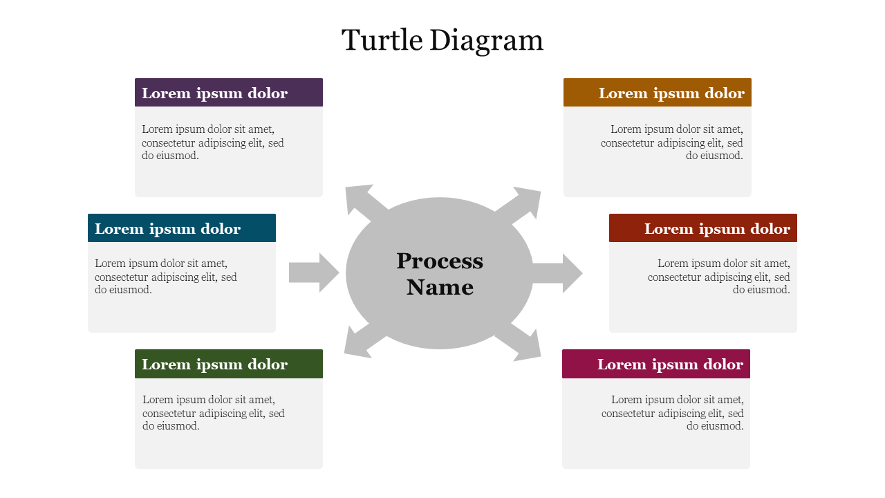 Turtle Diagram